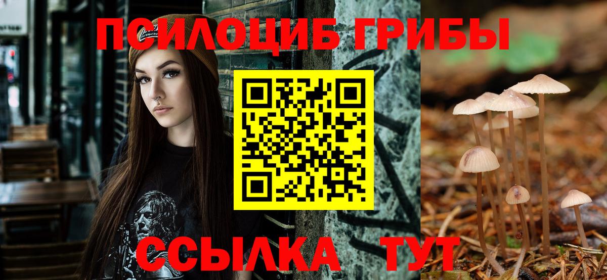 Галлюциногенные грибы Psilocybine cubensis Сорочинск
