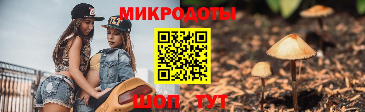 Галлюциногенные грибы мицелий  Вход с VPN  Сорочинск 